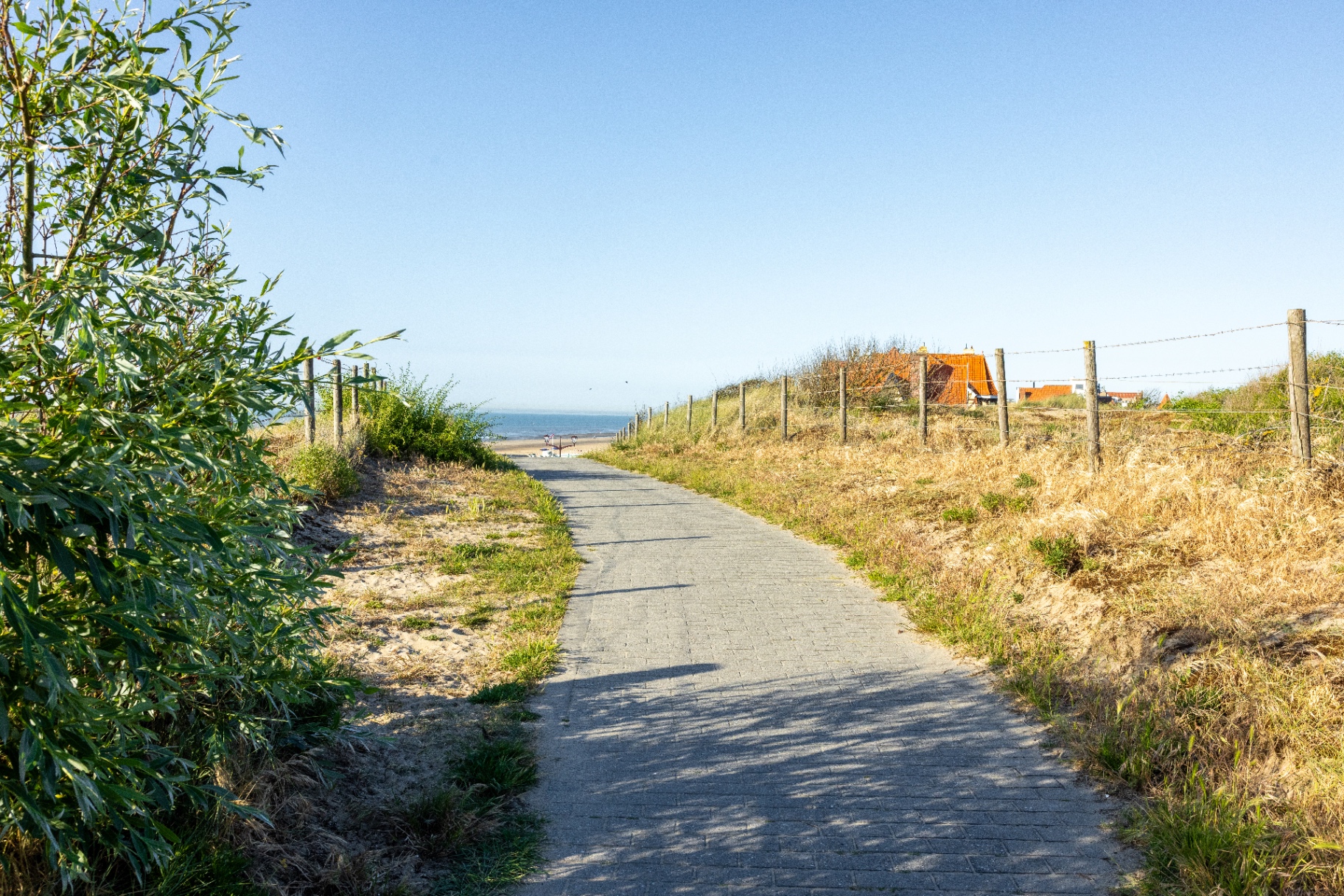 Tussen duinen en Noordzee